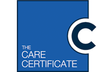 Skills for Health's Care Certificate eLearning Bundle